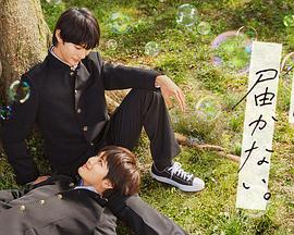 泛页面关键词2109